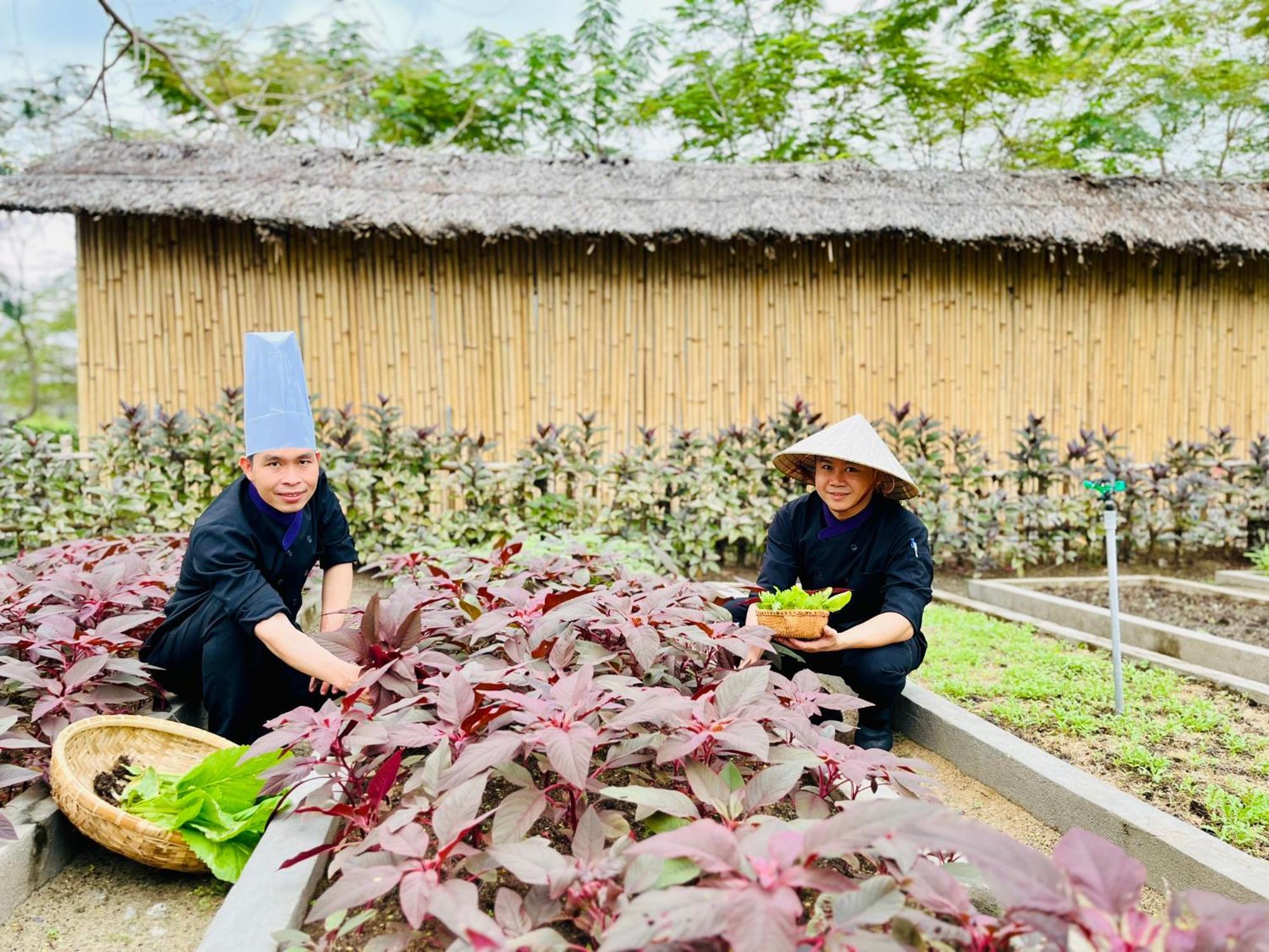 Ttc Van Phong Bay Resort - Himalaya Sauna & Steam Retreat Included Ấp Ninh Hòa  Buitenkant foto
