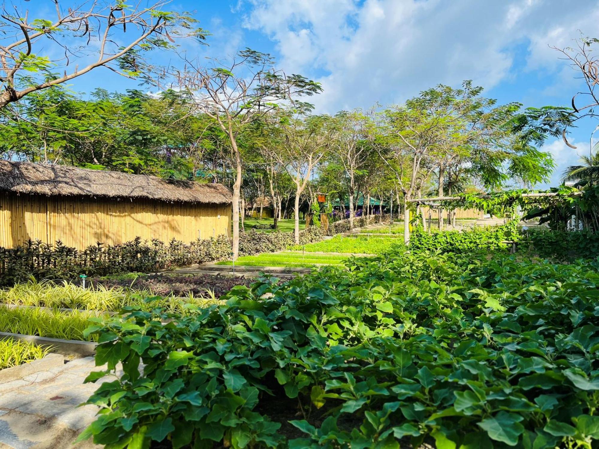 Ttc Van Phong Bay Resort - Himalaya Sauna & Steam Retreat Included Ấp Ninh Hòa  Buitenkant foto